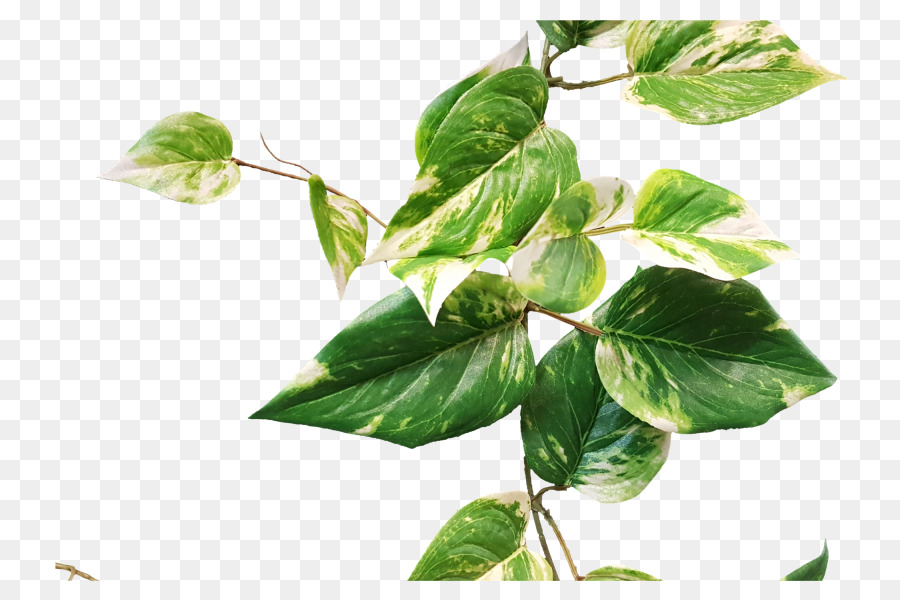 Pothos Girlande Leaf Pflanzen stengel Kraut - grün faux Beeren Zweig