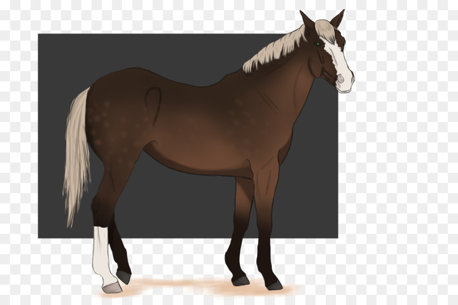 Chú Ngựa Dây Mustang Ngựa Khai Thác - giữ bình tĩnh đứng lên bắt nạt