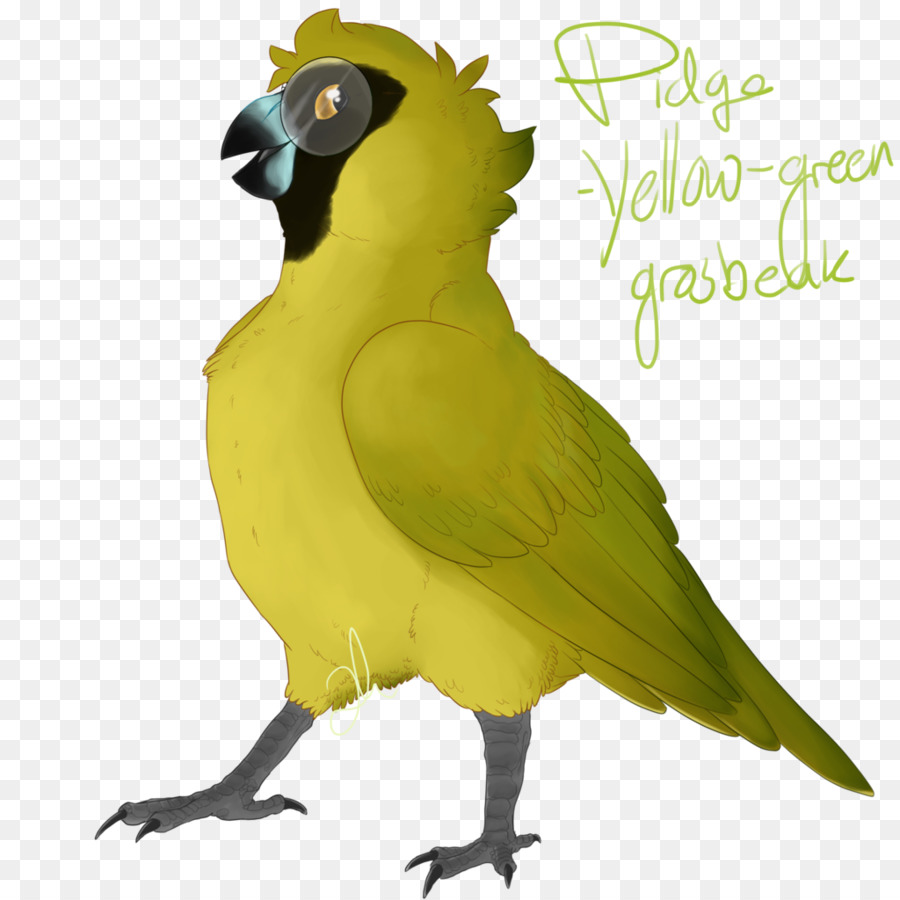 Macaw Pappagallo, Piuma Becco Illustrazione - shady nomi di fiori gialli