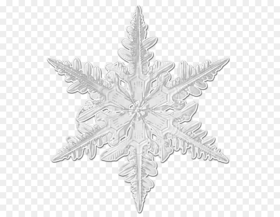 Fiocco di neve Portable Network Graphics Giorno di Natale, ornamento di Natale Bianco - fiocco di neve