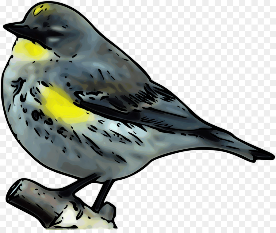 Nuovo Mondo capinere Icone del Computer Uccello Clip art di Pino warbler - Rambo