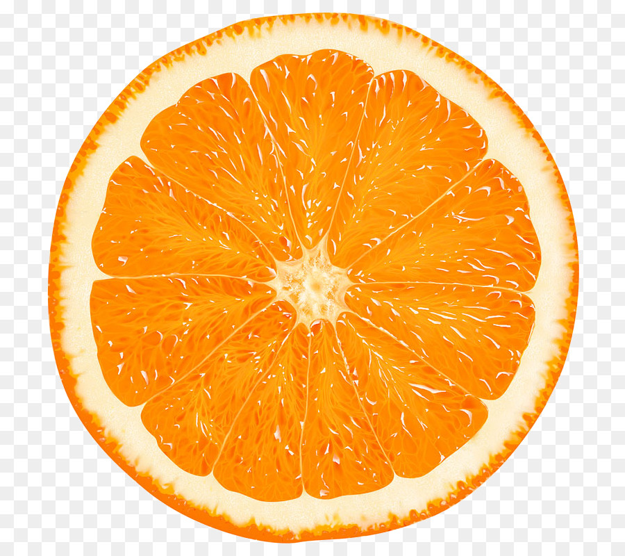 Fetta di arancia o Mandarino Clip art Citrus × sinensis - arancione