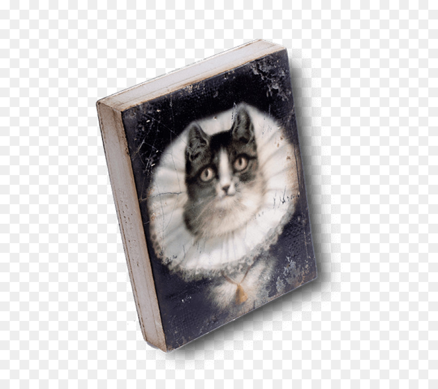 Katzenfreundschaften (4 wunderschöne Katzengeschichten vom Tiervater Alfred Brehm) Cat Whiskers Collage Picture Frames - Katze