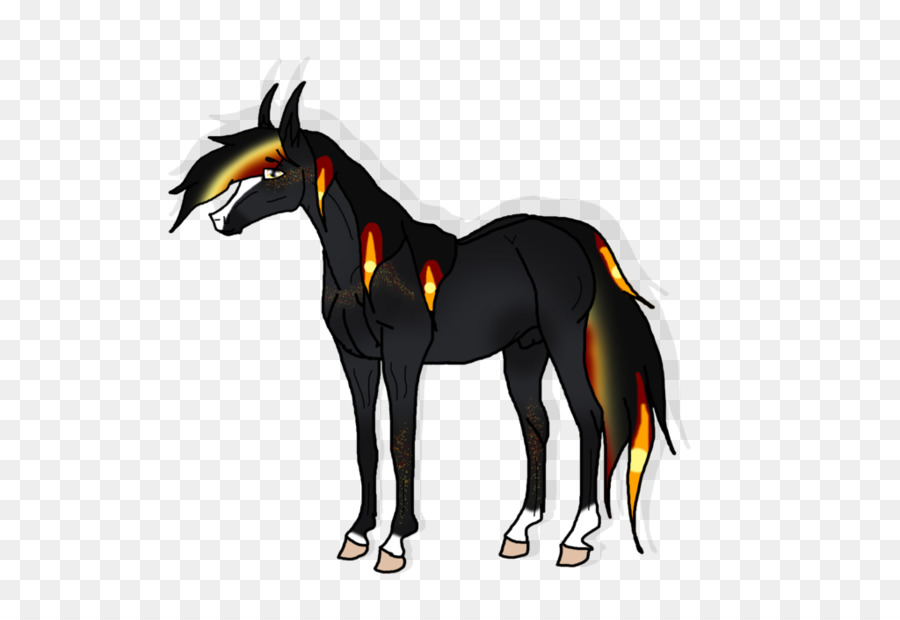Pony Mustang Fohlen Hengst Halfter - Mustang