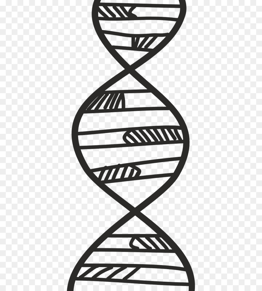 Phân tử mẫu DNA của Tơ đồ họa Đôi Xoắn: Một tài Khoản Cá nhân của những khám Phá của cấu Trúc của DNA - véc tơ