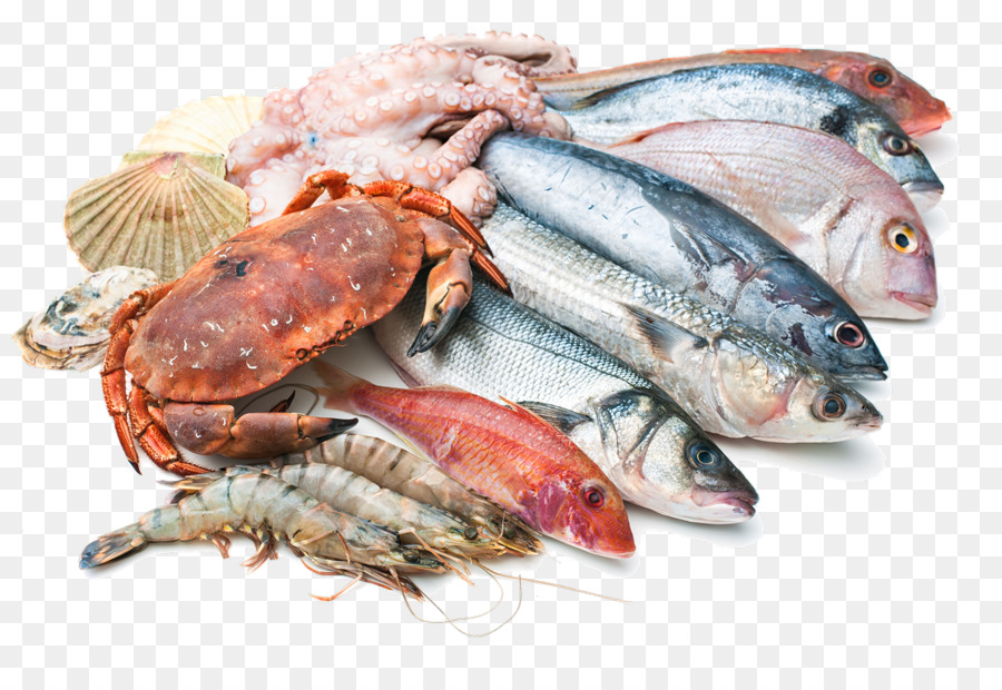 Hải sản Cá thị trường Chứng khoán nhiếp ảnh - con cá vàng bạch