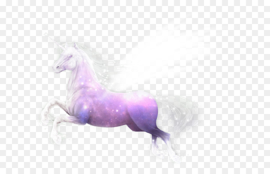 Unicorn Mustang Freikörperkultur Purple Yonni Meyer - 'licorne'