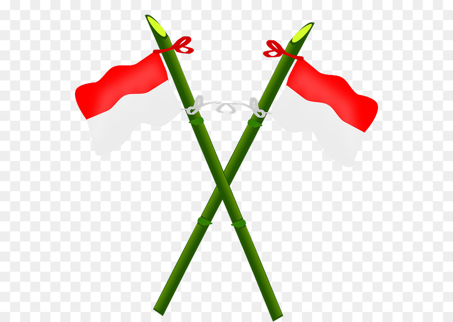 Flagge von Indonesien-clipart-Indonesische Nationale Revolution - Flagge