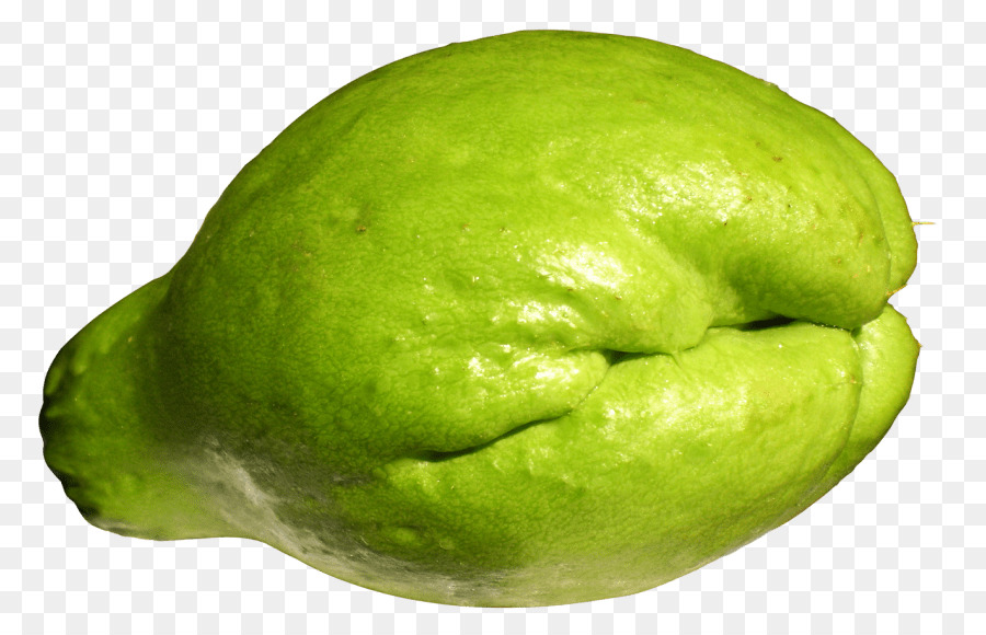 Chayote Kürbis Gemüse Melone, Squash - pflanzliche