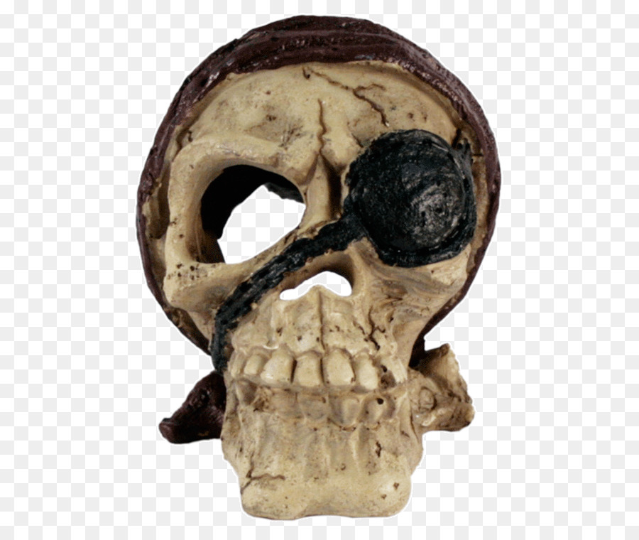 Calavera Cranio Acquario Terrario Di Pesce - cranio