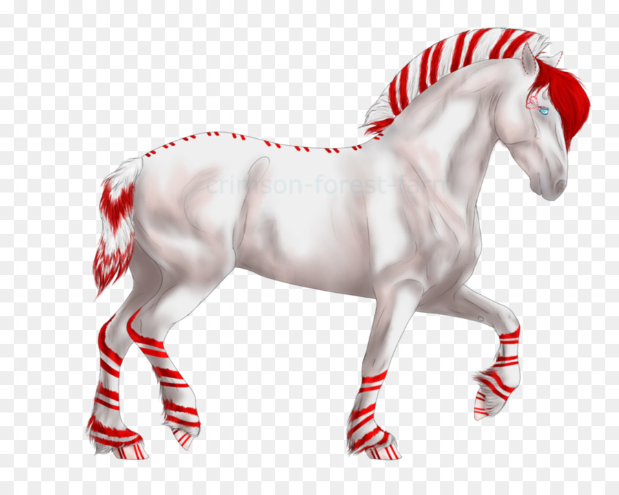 Mustang Stallion Naturismo Yonni Meyer Horse - mustang