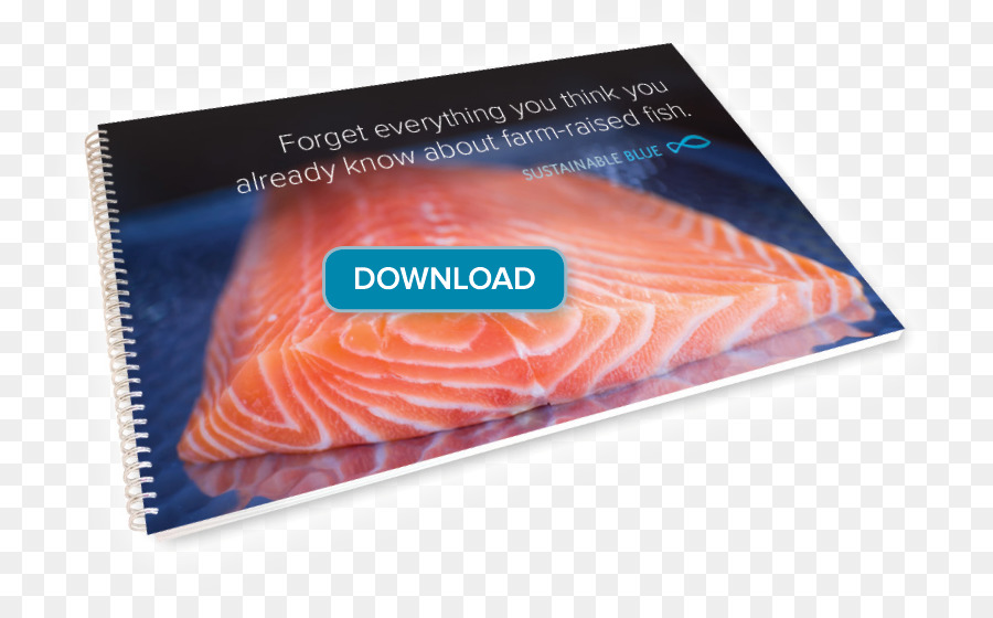 Nachhaltigkeit Bay of Fundy Fische Lachs als Lebensmittel - Broschüre Template Blau