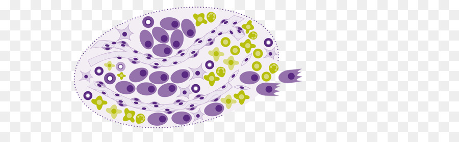 Organismo di progettazione del Prodotto Viola - biofarmaceutica