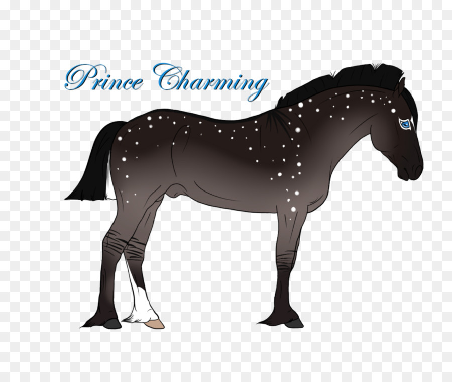 Hengst Mustang Fohlen Mare Halter - Prince Charming