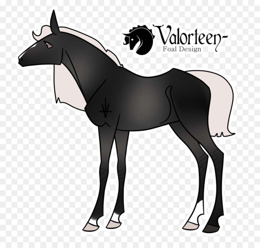 Mulo Mustang Pony Puledro Stallone - mustang