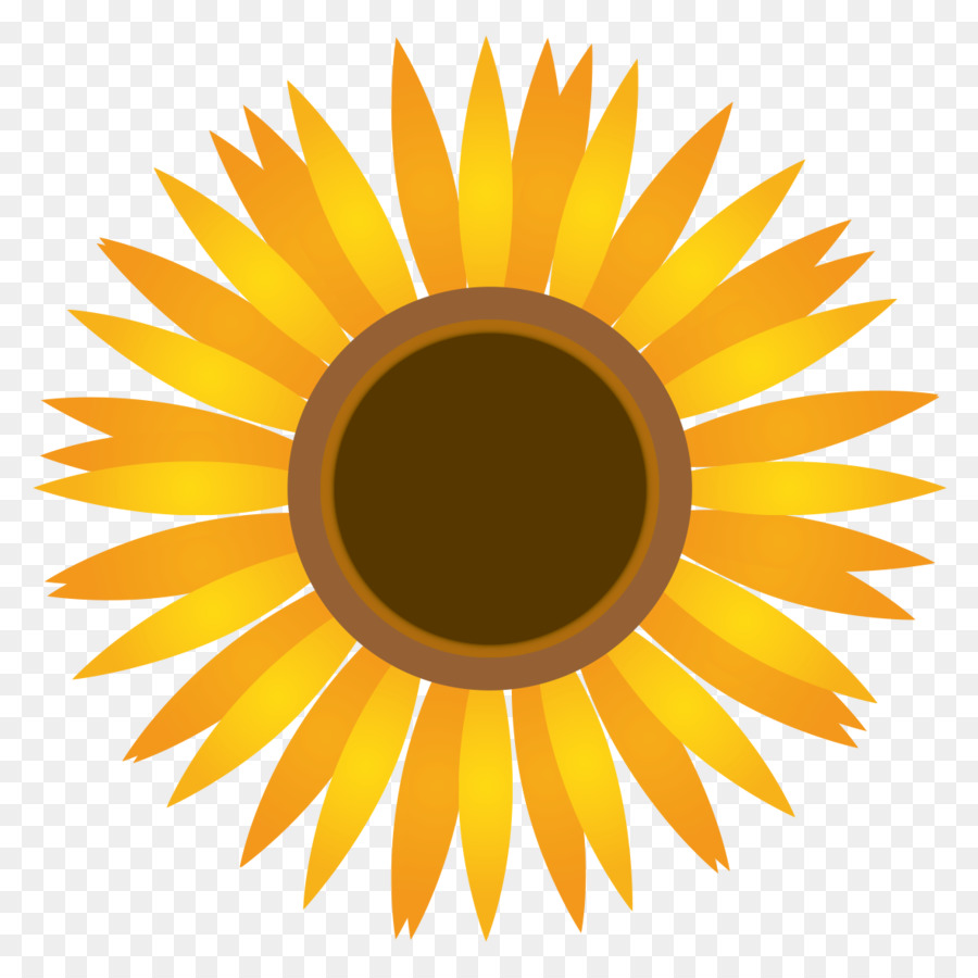 Gemeinsame Sonnenblume, Clip-art-Illustration Sommer - blume