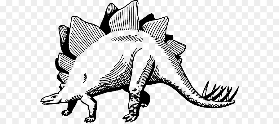 Stegosaurus Dinosaurier-Vektor-Grafik Zeichnung clipart - Küche Debatte