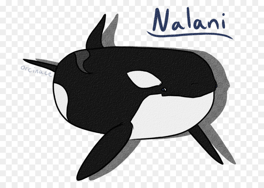 Dolphin Clip art Personaggio Nero Pesce - le orche seaworld