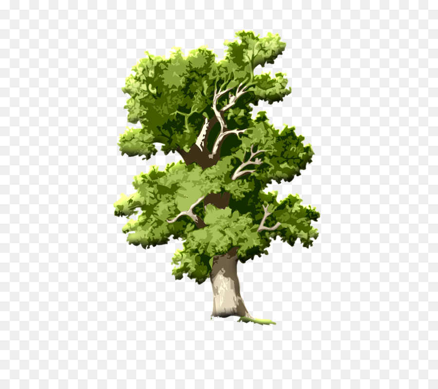 Englisch oak Tree Clip art Eichel Root - macaron Baum