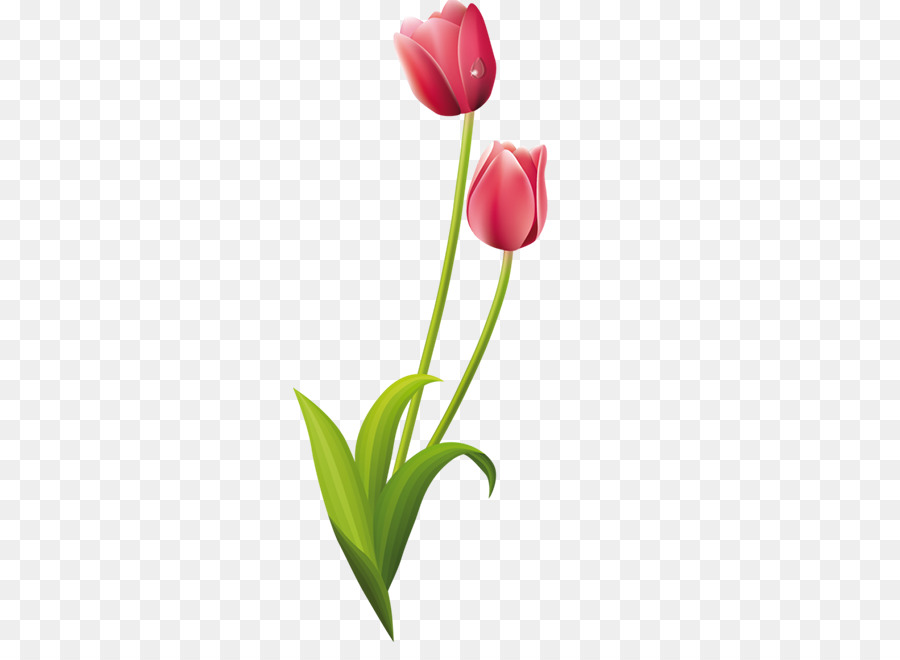 Hoa Tulip bản Vẽ Clip nghệ thuật Sơn - đầy hoa tulip