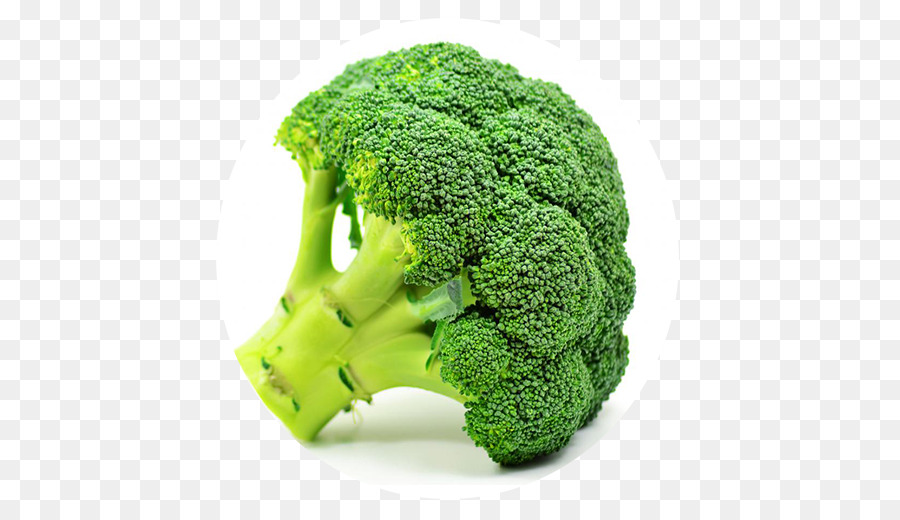 Brokkoli Sprossen Bio Lebensmittel Essen - Vorteile Brokkoli