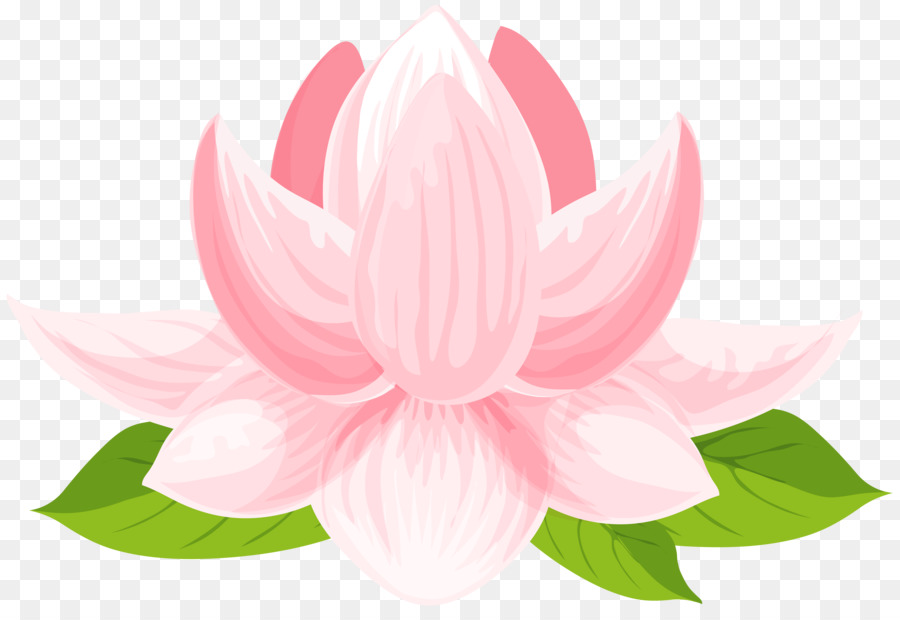 Heilige Lotus-clipart-Bild Portable Network Graphics Vektorgrafik - Seerose