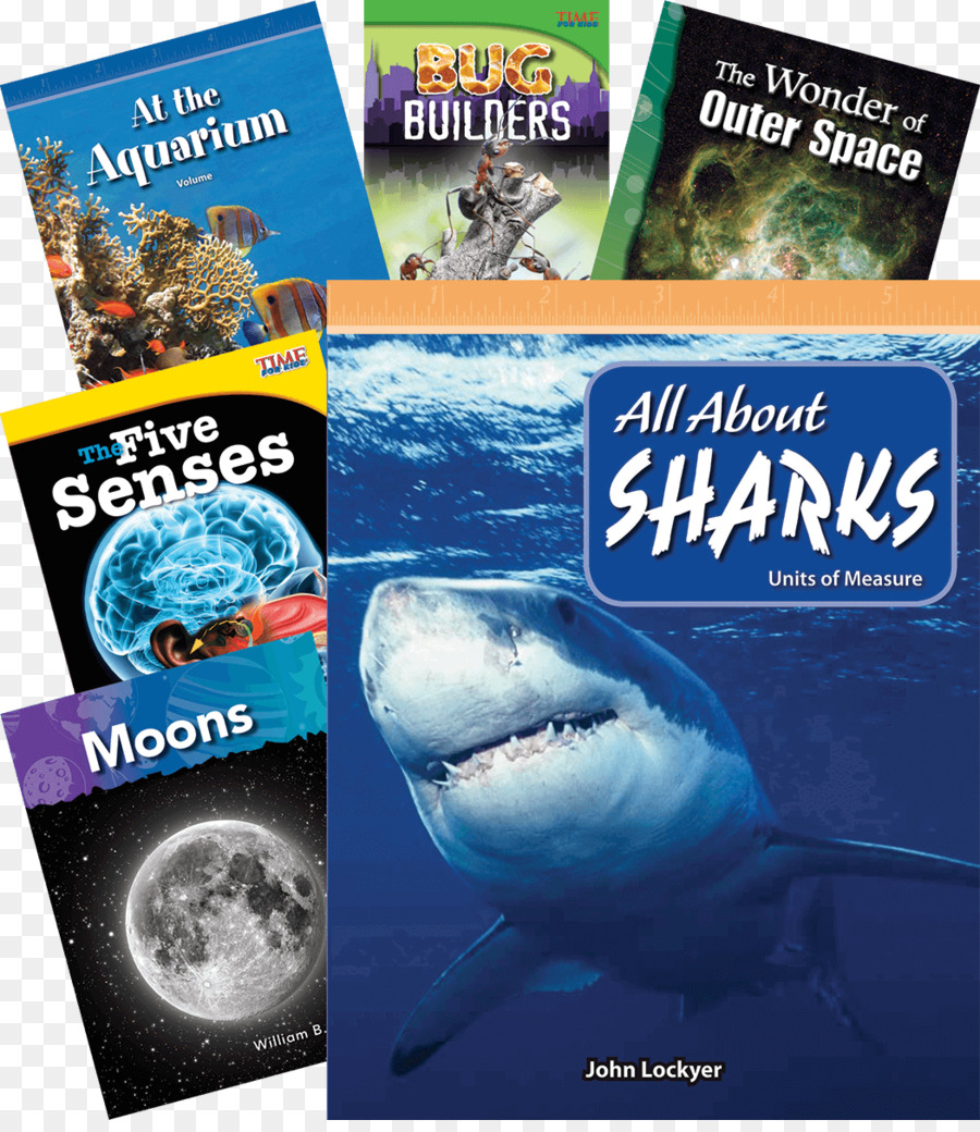 Haifisch-Wasser-Fisch-Werbung Meeresbiologie - guided reading library-Zimmer buchen