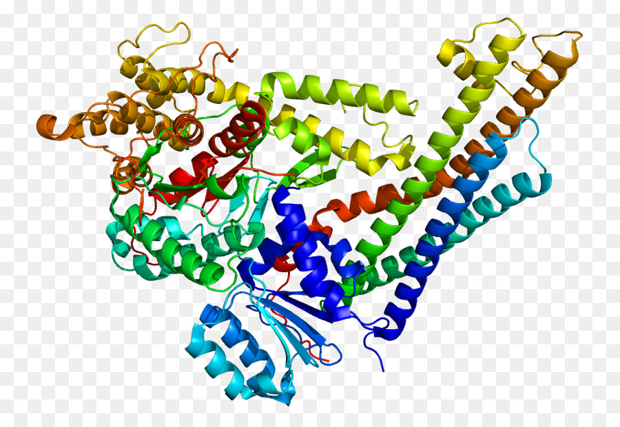 STXBP1 Gen expression Zelle Munc 18 - sekretorischen region neuron Zelle