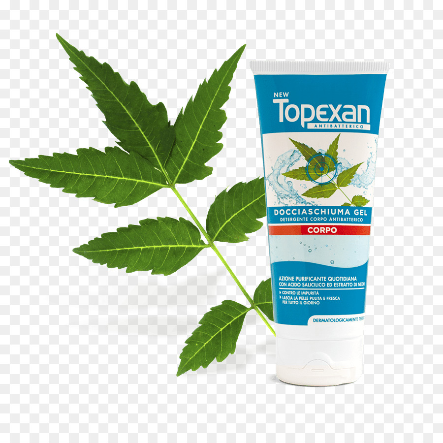 Neem Baum Morril Fox Bio Neem Leaf Powder 1 Lb. 100 Reinen und Natürlichen Roh Kraut Super F Haut - Extrakt aus Aloe barbadensis-Blättern