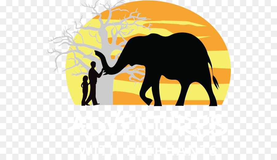 Ấn độ, con voi Phi voi Clip nghệ thuật cuộc Phiêu lưu Với con Voi - tê giác săn trộm