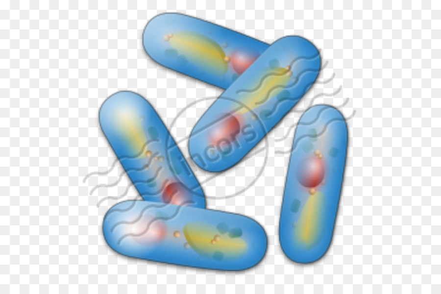 Clip art Microbiologia Icone del Computer Batteri Biologia Clipart - batteri regno