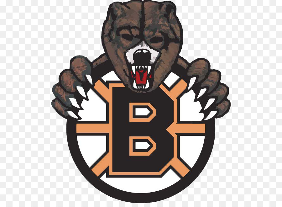 New England Sportzentrum Boston Junior Bruins Boston Bruins Nationale Eishockey Liga Eishockey - Texas Jugend Wrestling