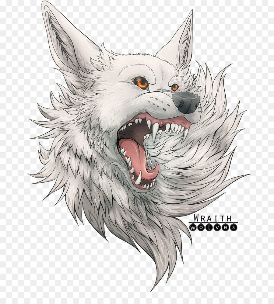 Râu Sói Mèo Minh Họa Mõm - tức giận sói bản vẽ răng