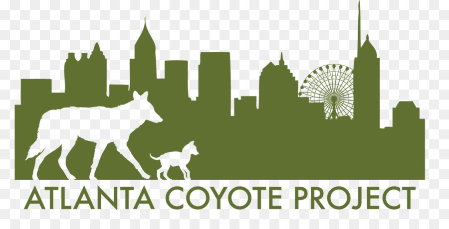 Ngọc Lục Bảo Hành Lang Foundation Coyote Động Vật Hoang Dã Mèo - nền tảng công ty atlanta