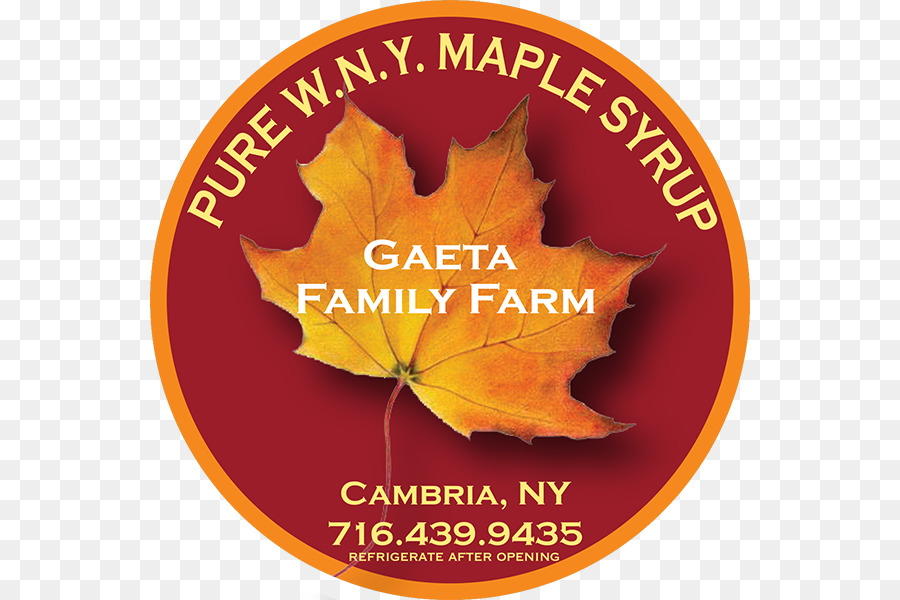 Maple leaf Thanksgiving Schriftart - Vermont Bauernhaus
