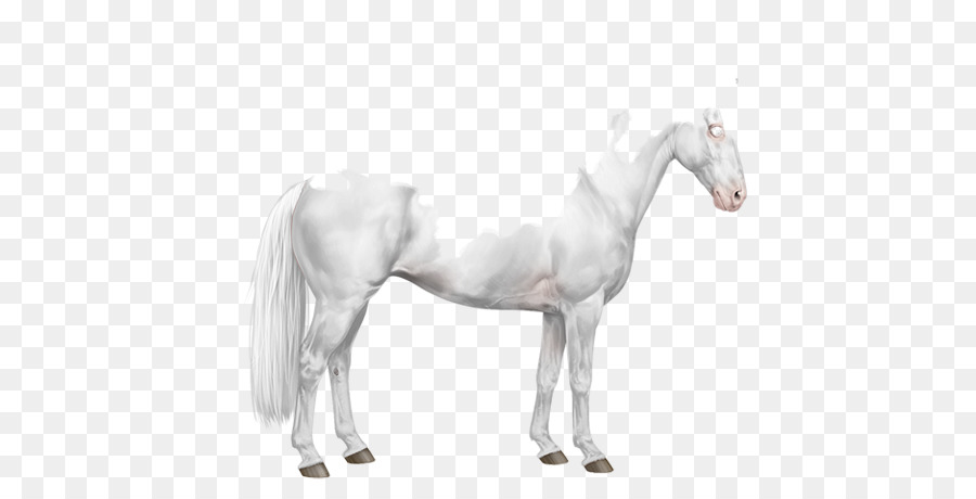 Mustang Stallone Pony American Paint Horse Mane - vernice spruzzata di cavallo