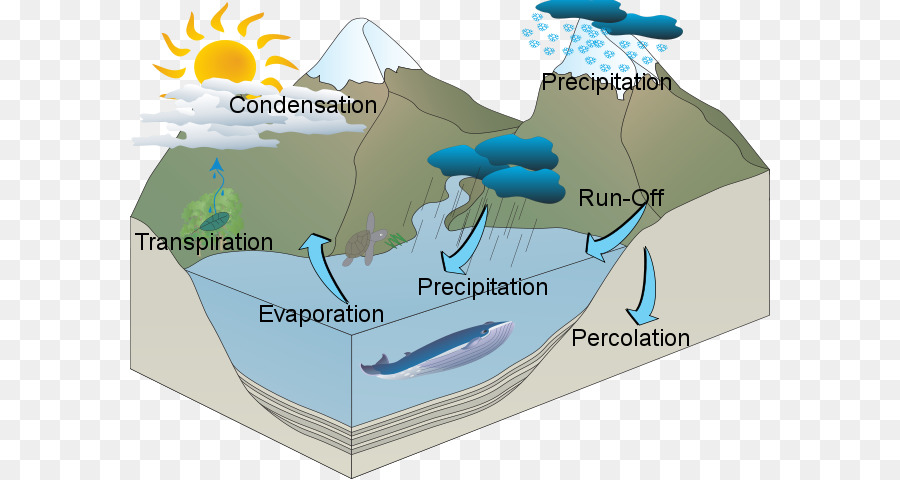 Il ciclo dell'acqua le risorse idriche Nazionali della Scuola Secondaria - zinco atom modello di scuola
