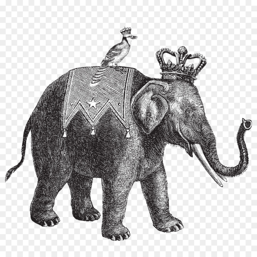 Elephant Artista Poster Illustrazione - marte esigenze di mamme