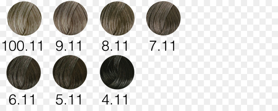 Hair coloring Long hair Font-02PD - Kreises der Demokratischen Partei von Mailand - ash Haarfarbe