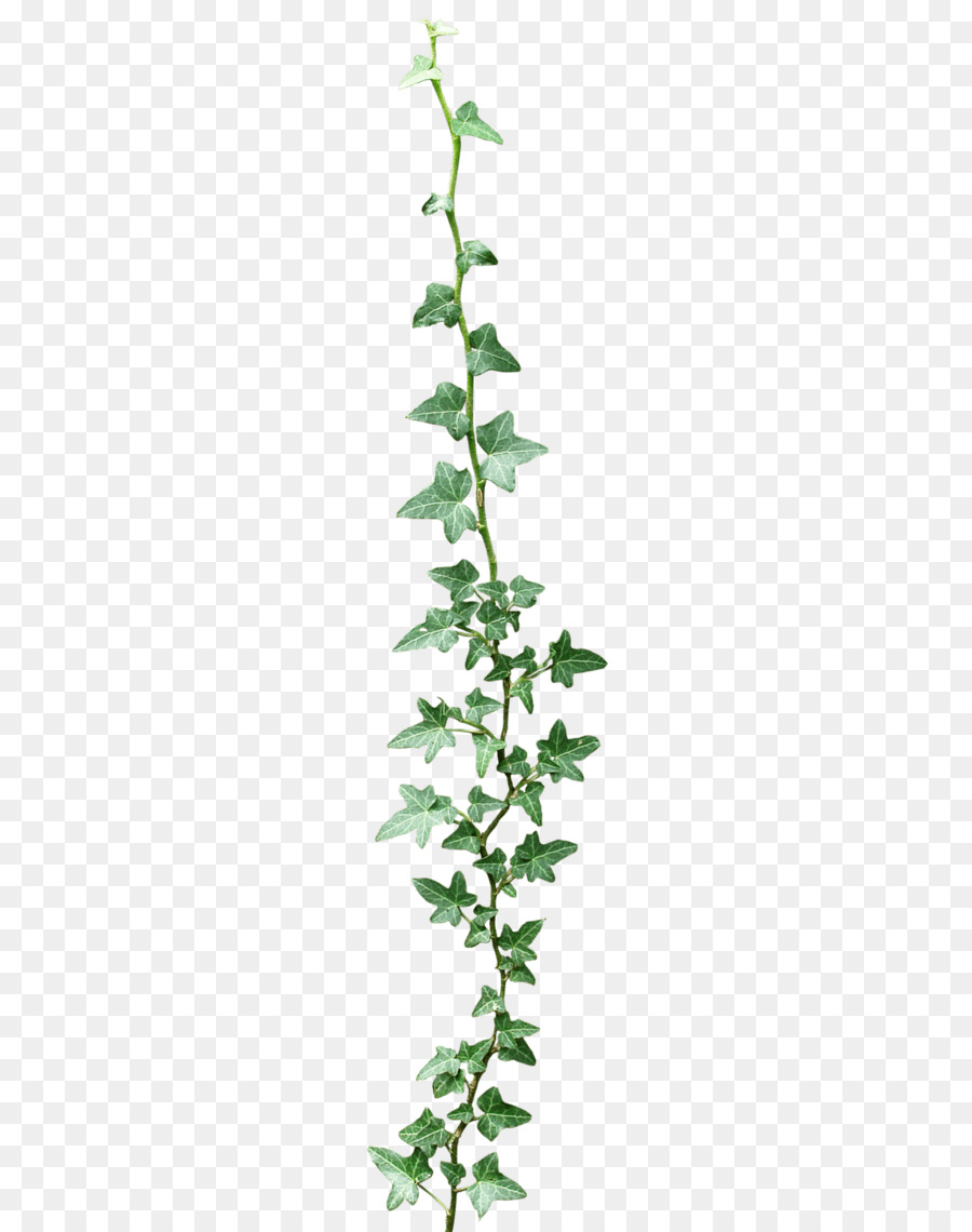 Blume 24/7 Hydrokultur Garland Florale design-clipart - Hydrokultur-Tomaten-Pflanzer