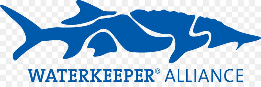 Waterkeeper Alliance Logo Marke Clip art Schriftart - florida pe Lehrer