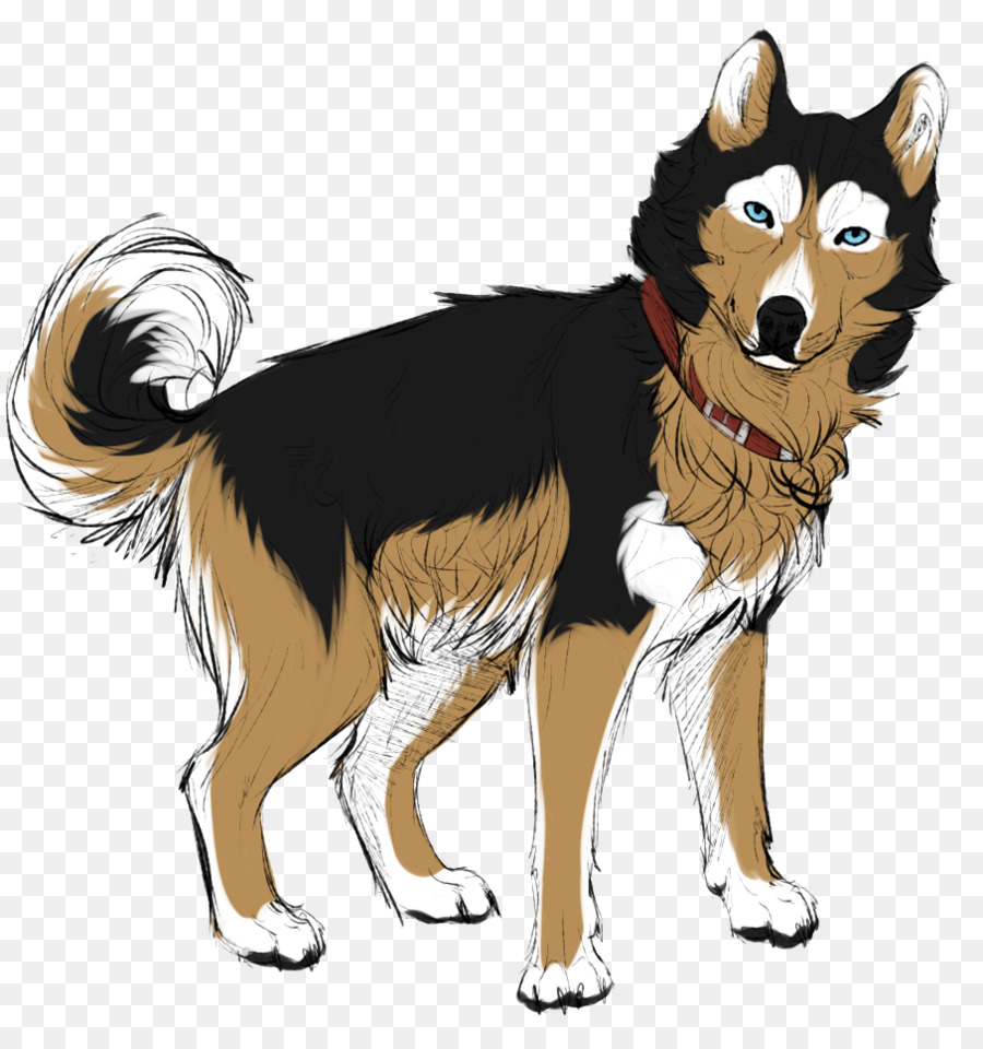Chó con Chó giống Vẽ Đảo Husky Sau - hokkaido husky trộn