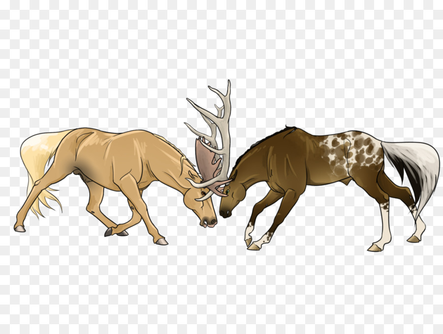 Tuần Lộc Của Elk - bắn nghệ thuật