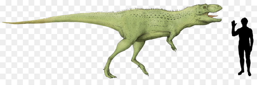 Indosaurus Tyrannosaurus Indosuchus Isisaurus Abelisaurus - alte Stein Axt Zeichnungen