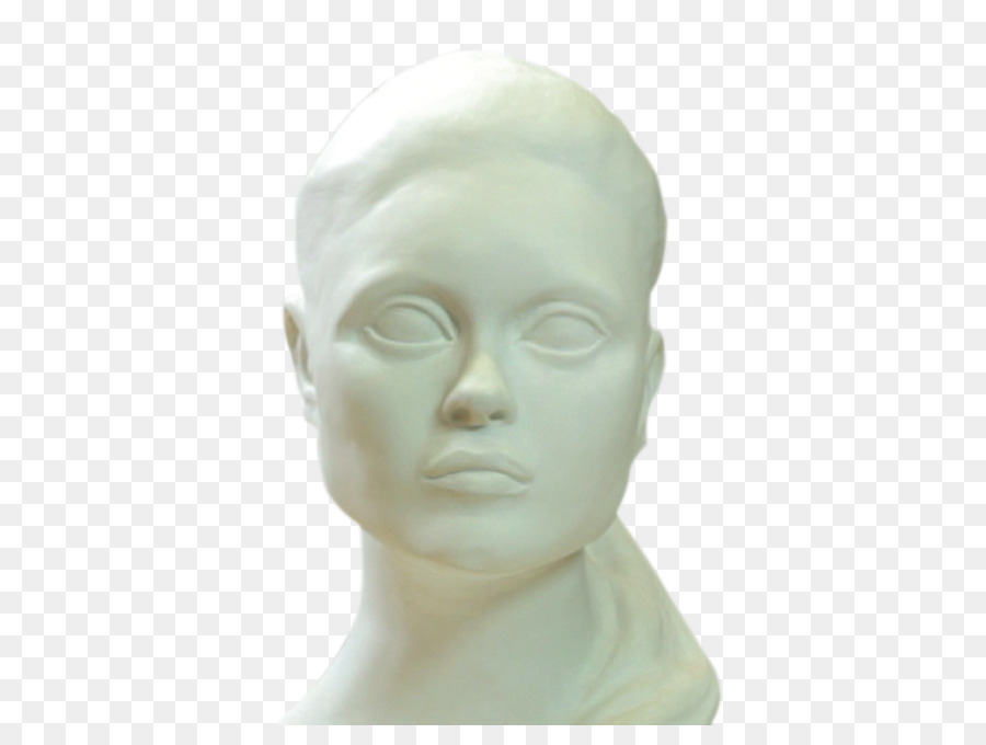 Stirn Klassischen Skulptur Mannequin Kiefer-Kinn - Septumplastik op Kosten