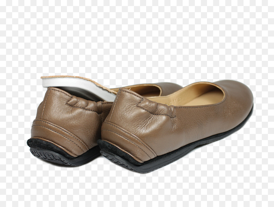 Shoe Footwear