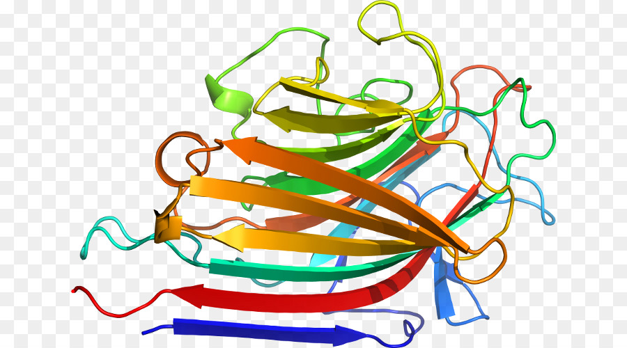 Clip art design di Prodotto Organismo di Linea - glicine floribunda