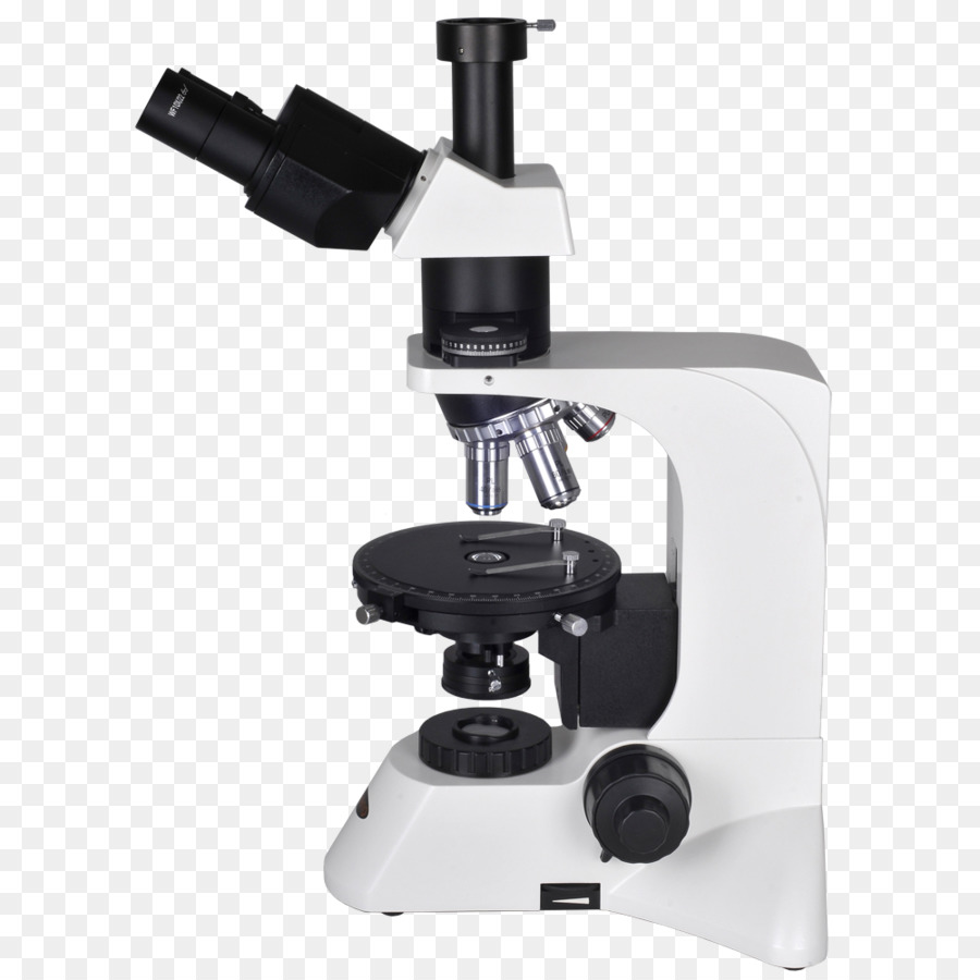 Microscopia ottica microscopia in luce Polarizzata microscopio Petrografico - Guardando Attraverso un Microscopio