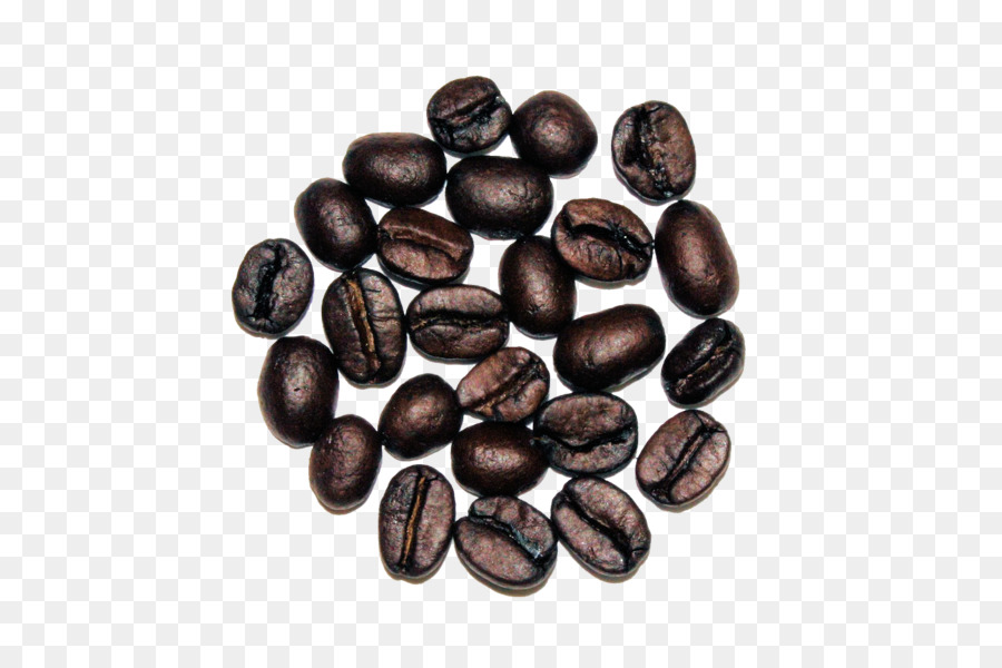 Jamaikanischer Blue-Mountain-Kaffee Kakaobohne Ware Saatgut - 