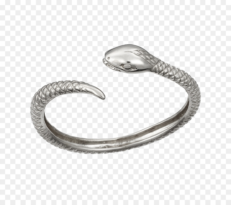 Schmuck Ring Armband Armreif Silber - ouroboros Silber Ringe